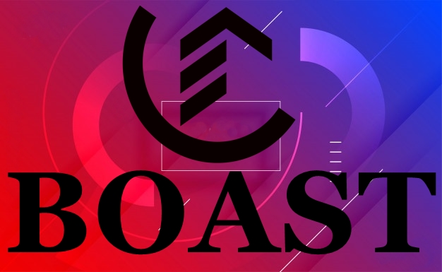 boast sivit tişört bay - Görsel 7